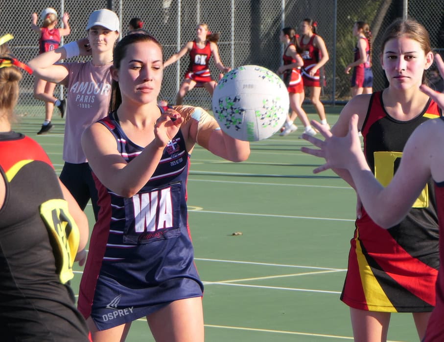 Netball close-up